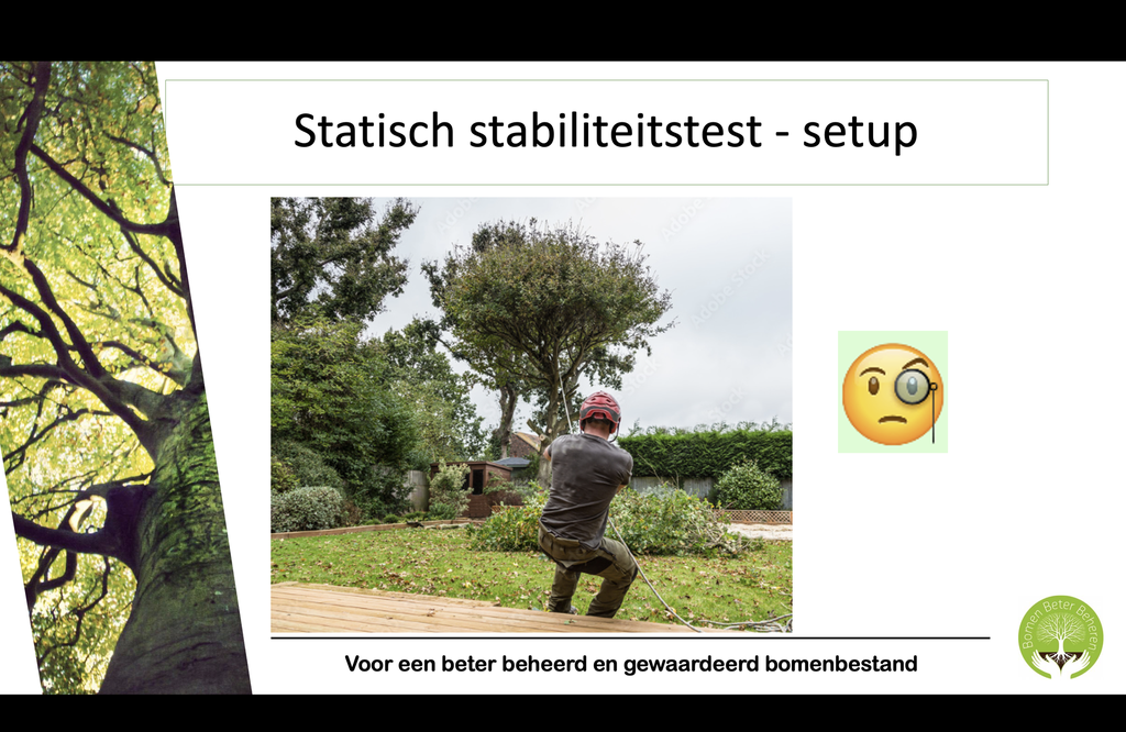 Studiedag Nader Onderzoek bij bomen - mei 24