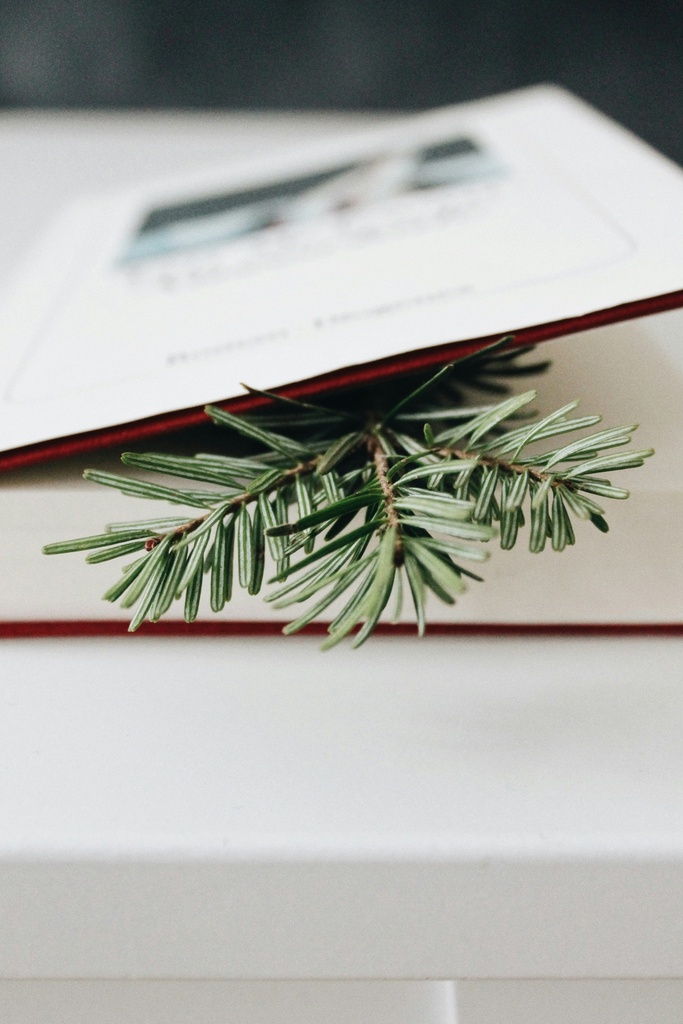 Leestips van Bomen Beter Beheren