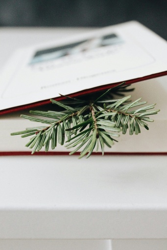 Leestips van Bomen Beter Beheren