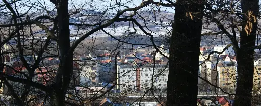 Studiedag Rewilding 27/02/2026