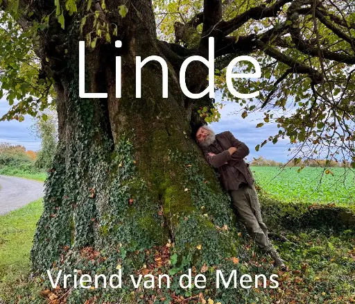 Boomcafé "Linde, vriend van de mens" 13/05/2026